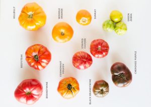 86e760a7868129da3cd49a01c7e26114